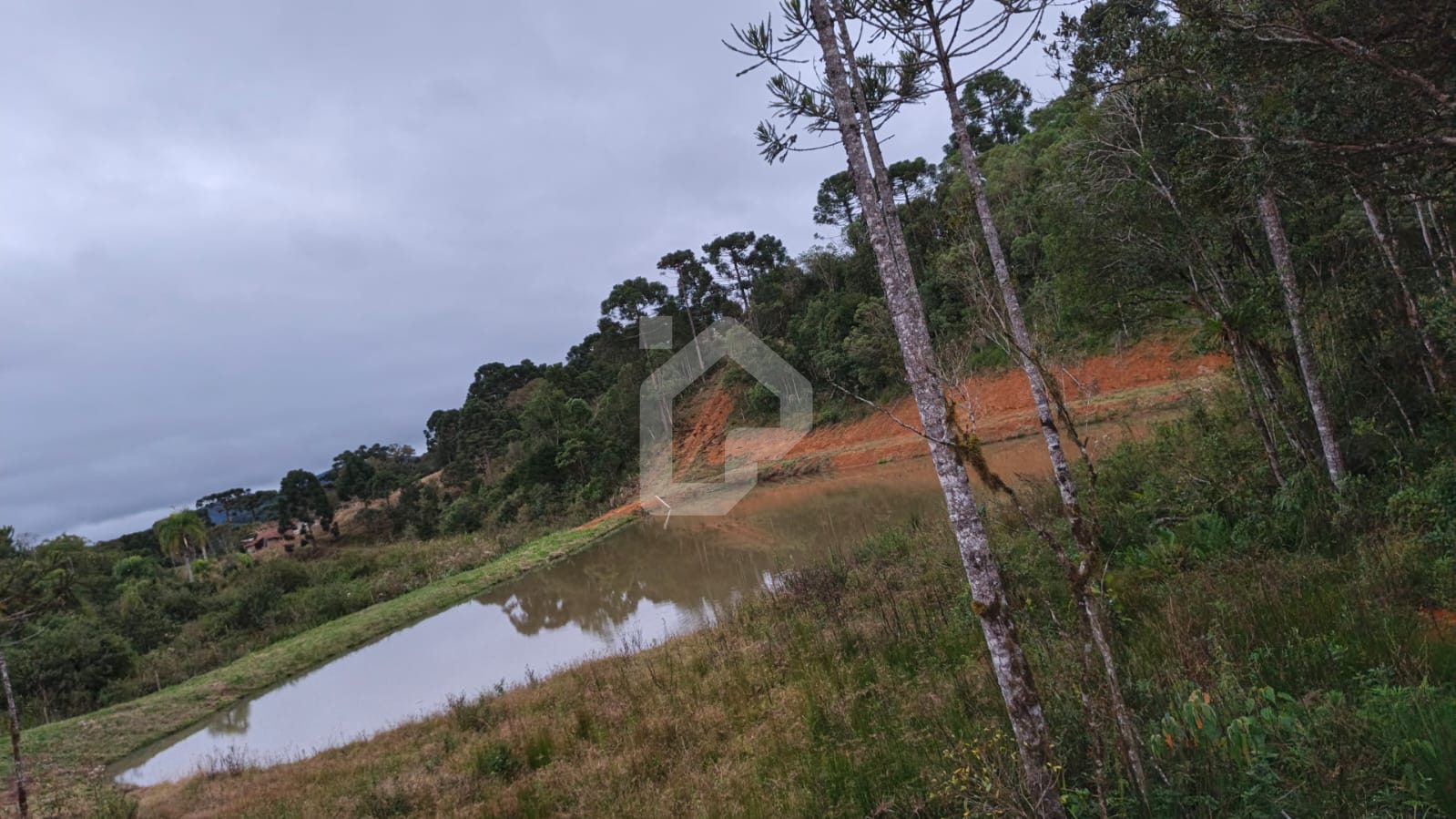 TERRENO XIMBUVA - Foto 4