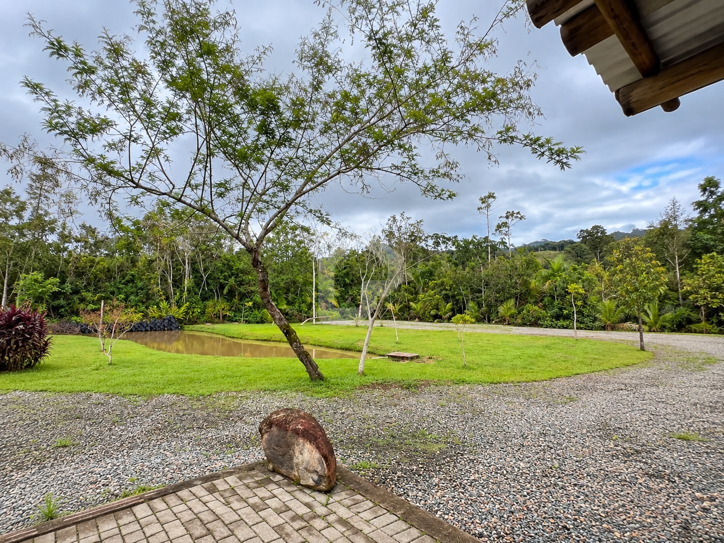 CHÁCARA PAI DA MATA - Foto 5