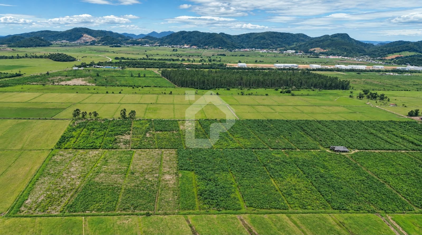 ÁREA BR-470 - Foto 3